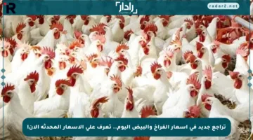 تراجع جديد في أسعار الفراخ والبيض اليوم.. تعرف على الأسعار المحدثة الآن!